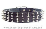 2 inch Leather Dog Collar with STUDS and SPIKES for Boxer