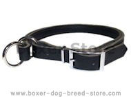 Adjustable Leather Slip Collar w/h solid NICKEL hardware Boxer