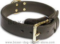 Boxer Fashion Brown dog collar 19 inch/19'' collar - c33nh