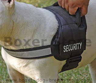 Nylon Dog Harness for Boxer ( Walking,Tracking Dog Harness)