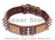 Spiked Brown collar 26'' for Boxer /26 inch dog collar -C86