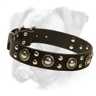 'Rock n Roll' Boxer Leather Dog Collar 'Rock n Roll' Boxer Leather Dog Collar