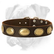 Deluxe Leather Collar Adorned with Vintage Oval Plates Deluxe Leather Collar Adorned with Vintage Oval Plates