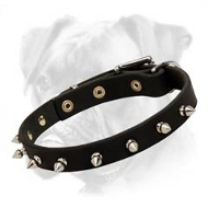 Glorious Leather Collar with Attractive Spikes Glorious Leather Collar with Attractive Spikes