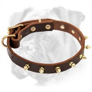 Tremendous Leather Boxer Collar with Brass Spikes for Everyday Use Tremendous Leather Boxer Collar with Brass Spikes for Everyday Use
