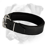 Gorgeous Leather Collar for Your Boxer Gorgeous Leather Collar for Your Boxer