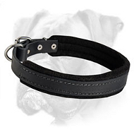 Leather Collar with Thick Soft Padding for Boxer Leather Collar with Thick Soft Padding for Boxer