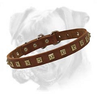 Boxer Leather Collar with Square Studs Boxer Leather Collar with Square Studs