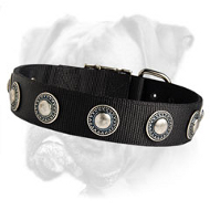 Deluxe Nylon Boxer Collar with Silver Conchos Deluxe Nylon Boxer Collar with Silver Conchos
