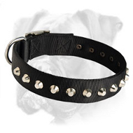 Gorgeous Wide Nylon Dog Collar with Silver Pyramids Gorgeous Wide Nylon Dog Collar with Silver Pyramids