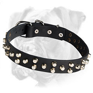 Exclusively Designed Boxer Leather Collar Exclusively Designed Boxer Leather Collar