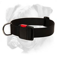 Boxer Nylon Collar for Everyday Walks Boxer Nylon Collar for Everyday Walks