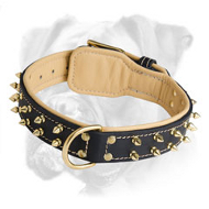 Luxury Leather Collar with Brass Spikes Luxury Leather Collar with Brass Spikes