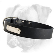 Simply Designed Leather Collar with Name Tag for Boxer Breed Simply Designed Leather Collar with Name Tag for Boxer Breed