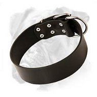 Boxer Leather Collar Riveted For Extra Durability Boxer Leather Collar Riveted For Extra Durability
