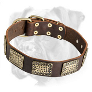 High Quality Leather Boxer Collar with Brass Plates High Quality Leather Boxer Collar with Brass Plates