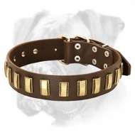 Handmade leather Collar With Goldish Plates Handmade leather Collar With Goldish Plates
