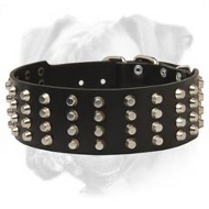 Super Durable Leather Boxer Collar with Pyramids Super Durable Leather Boxer Collar with Pyramids