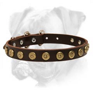 Tremendous Leather Boxer Collar with Brass Dotted Circles - Amazing Accessory for Every Dog Tremendous Leather Boxer Collar with Brass Dotted Circles - Amazing Accessory for Every Dog