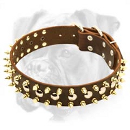 High Quality Leather Boxer Collar with Brass Spikes and Nickel Studs High Quality Leather Boxer Collar with Brass Spikes and Nickel Studs