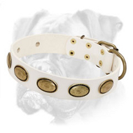 Exclusive Leather White Collar for Boxer Breed Exclusive Leather White Collar for Boxer Breed