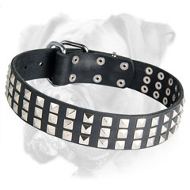 Royal Quality Leather Boxer Collar with Nickel Pyramids for Everyday Use Royal Quality Leather Boxer Collar with Nickel Pyramids for Everyday Use