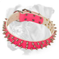 Spiked Pink Leather Boxer Collar for Elegant She-Dogs Spiked Pink Leather Boxer Collar for Elegant She-Dogs