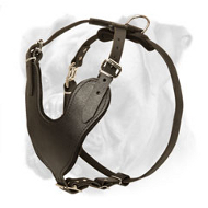 Amazing Leather Dog Harness for Easy, Safe and Comfortable Agitation/Attack Boxer Training Amazing Leather Dog Harness for Easy, Safe and Comfortable Agitation/Attack Boxer Training