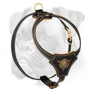 Tracking and Walking Royal Leather Harness for Boxer Puppy Tracking and Walking Royal Leather Harness for Boxer Puppy