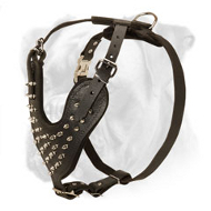 Stylish Walking Leather Harness with Decorative Spikes for Active Boxer Stylish Walking Leather Harness with Decorative Spikes for Active Boxer