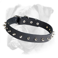 Elegant Leather Boxer Collar with Nickel Spikes Elegant Leather Boxer Collar with Nickel Spikes