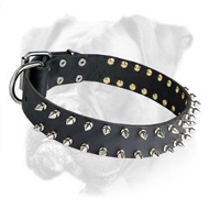 Fabulous Boxer Leather Spiked Collar for Daily Walks and Training Fabulous Boxer Leather Spiked Collar for Daily Walks and Training