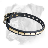 Leather Special Boxer Collar With Plates Leather Special Boxer Collar With Plates