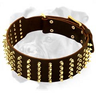 Luxury Leather Boxer Collar with Brass Spikes for Walking Luxury Leather Boxer Collar with Brass Spikes for Walking