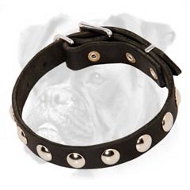 Exclusive Leather Boxer Collar with Nickel Studs Exclusive Leather Boxer Collar with Nickel Studs