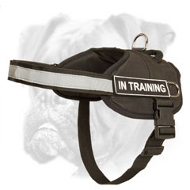 Extremely Light in Weight and Comfortable Nylon Harness for Tracking, Pulling and Walking Extremely Light in Weight and Comfortable Nylon Harness for Tracking, Pulling and Walking
