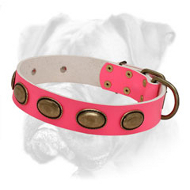 Sophisticated Pink Leather Boxer Collar with Oval Plates for Female Canines Sophisticated Pink Leather Boxer Collar with Oval Plates for Female Canines