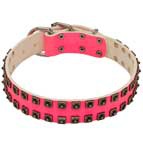 Exclusive Pink Leather Boxer Collar with Two Rows of Nickel Studs Exclusive Pink Leather Boxer Collar with Two Rows of Nickel Studs