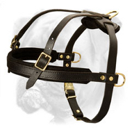Marvelous Pulling/Tracking/Walking Harness for Active Boxer Marvelous Pulling/Tracking/Walking Harness for Active Boxer