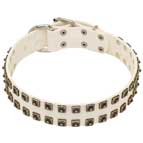 Luxury Leather White Collar with Two Rows of Nickel Studs for Boxer Luxury Leather White Collar with Two Rows of Nickel Studs for Boxer