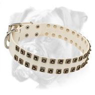 Superb White Leather Boxer Collar with Two Rows of Old Nickel Studs Superb White Leather Boxer Collar with Two Rows of Old Nickel Studs
