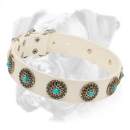 Trendy White Leather Boxer Collar for Walking And Training Trendy White Leather Boxer Collar for Walking And Training