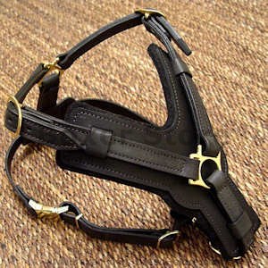 handmade leather dog harness for Boxer