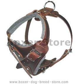 Boxer leather dog harness(handmade leather dog harness)