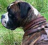 boxer dog collar,leather  dog collar,dog training collar with handle
