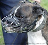 Wire basket dog muzzle,best dog muzzle