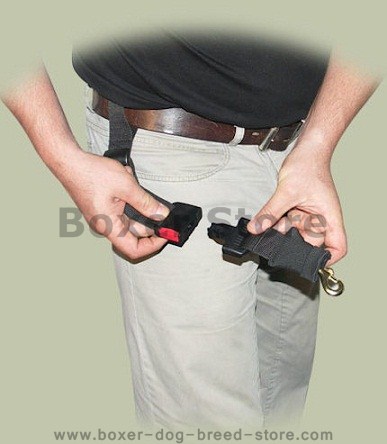 Dog Walking Leash for Boxer walking,running