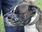 Wire basket dog muzzle,best dog muzzle