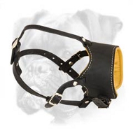 Classic Nappa Padded Leather Muzzle for Boxer Classic Nappa Padded Leather Muzzle for Boxer