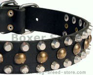 Custom Studded Leather Dog Collar for Boxer